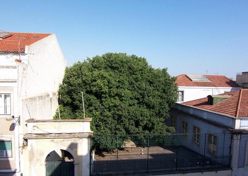 Appartement Bela Vista - Altstadt