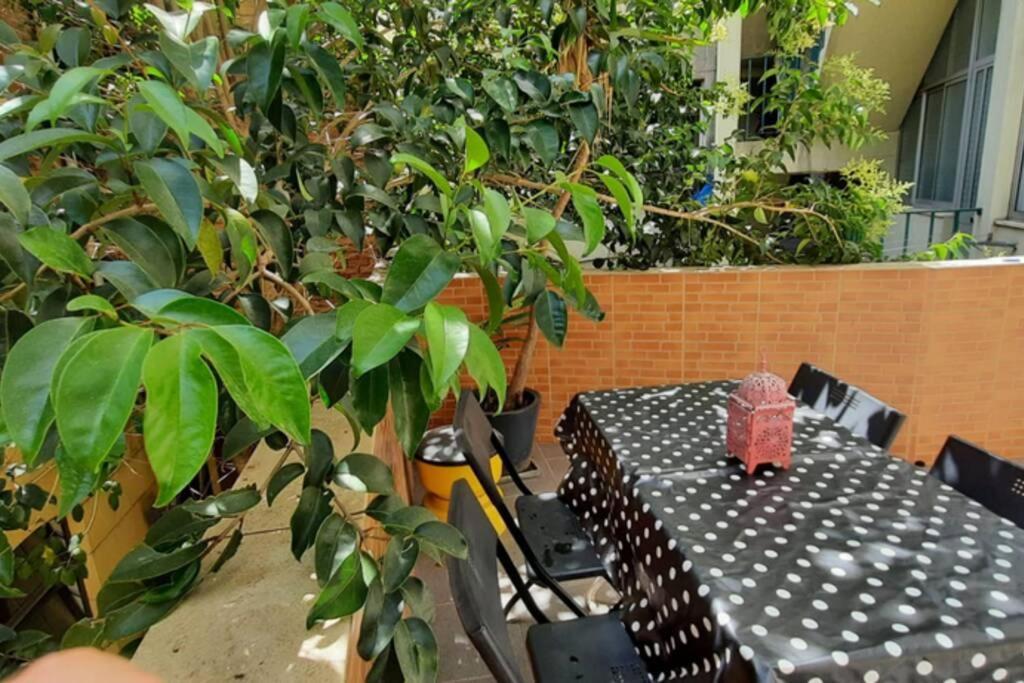 Charming Sunny Terrace / One Bedroom * Lisboa