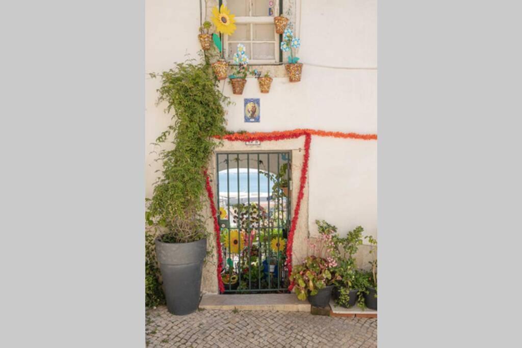 Apartamento Adiça 4studio - Village *