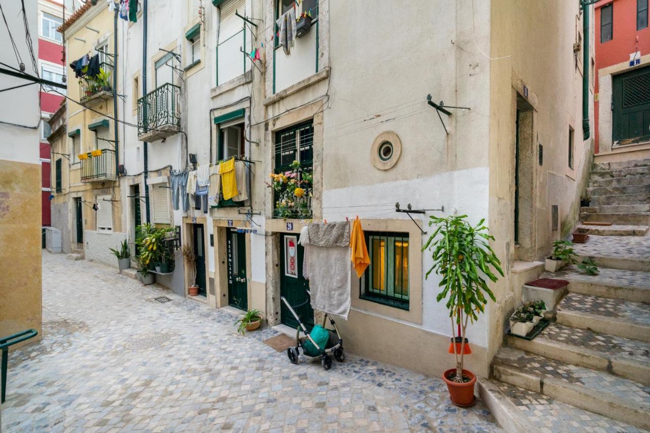 Whome Beco Patacas Perfect Location To Explore Appartement