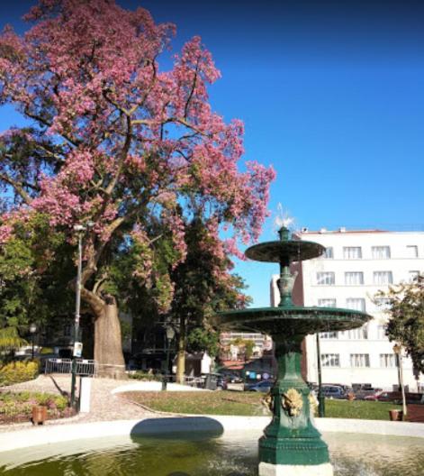 Apartamento Alegramente