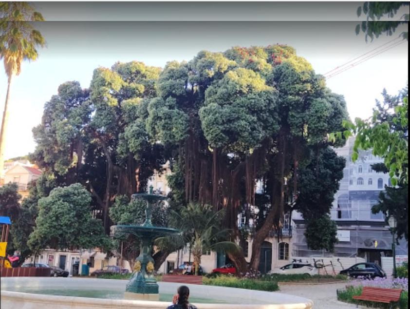 Apartamento Alegramente *