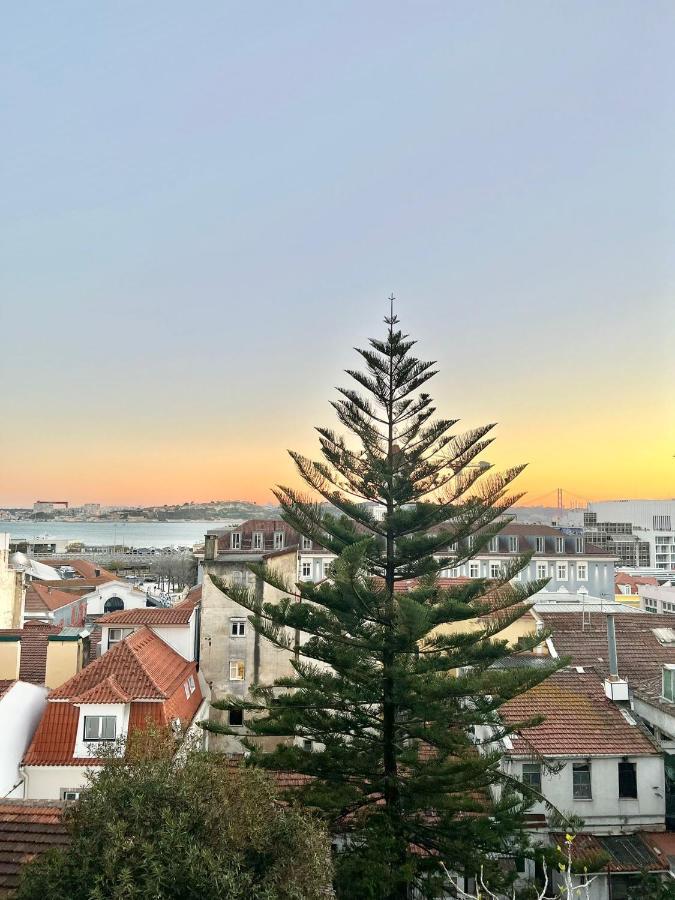 Frank's House & Happy Downtown Apartment Lissabon