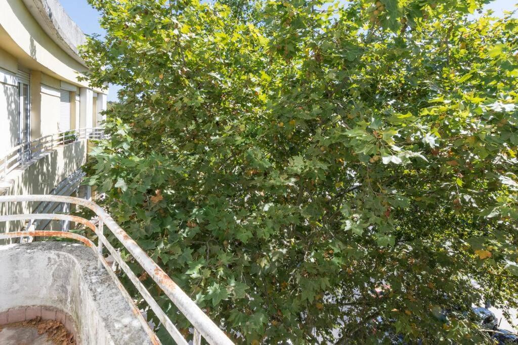 Houze_city Center, 5 Flat W/ Sunny Terrace Lissabon