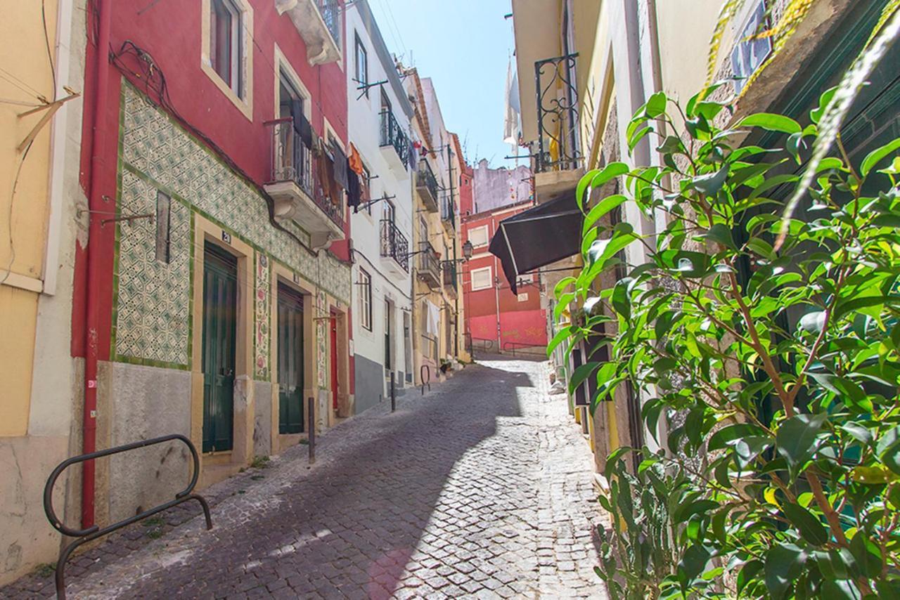 Typical Santa Catarina By Homing Appartement