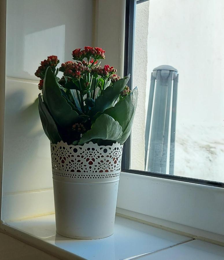 Appartement In *