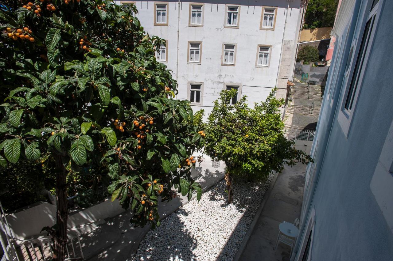 Apartment Portas Do Castelo *