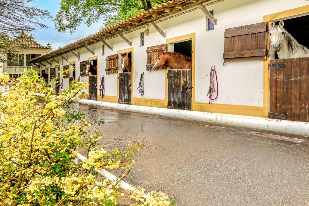 Vakantiehuis Quinta Do Boicao *