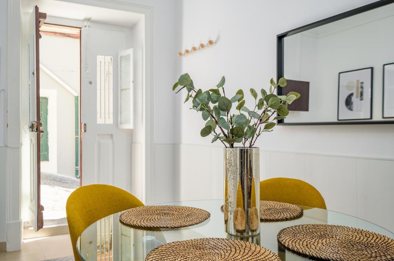 New! Unique 1 Bedroom Apartment- Santa Catarina 42 Apartment *