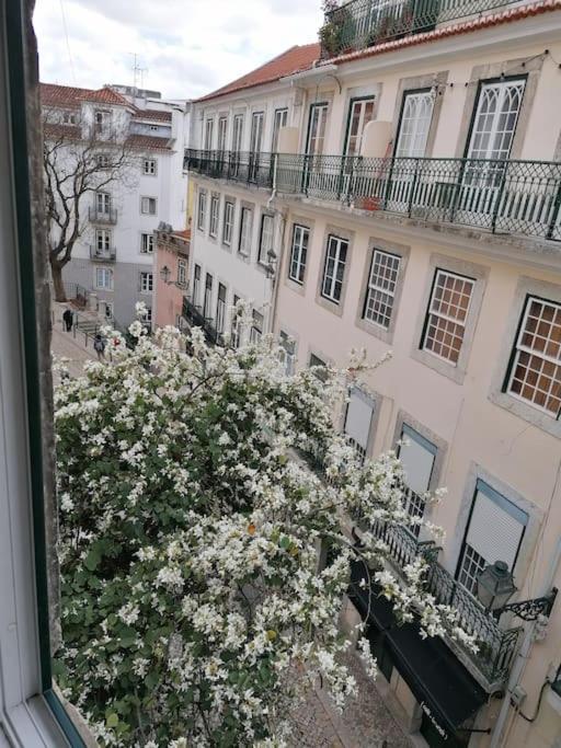 Lx Townhouse Ideal For Big Groups Prime Location Trendy Street Vakantiehuis
