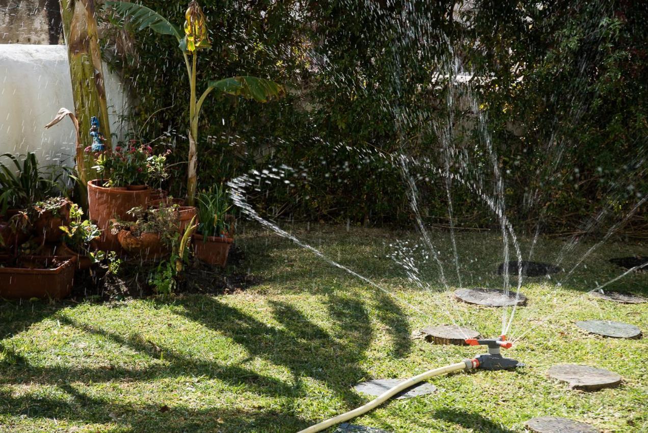 Flat With A Garden In Belem Appartement