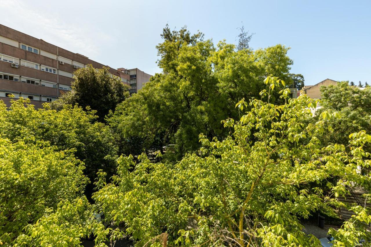 Comfy 3 Bedroom Campo De Ourique Appartement