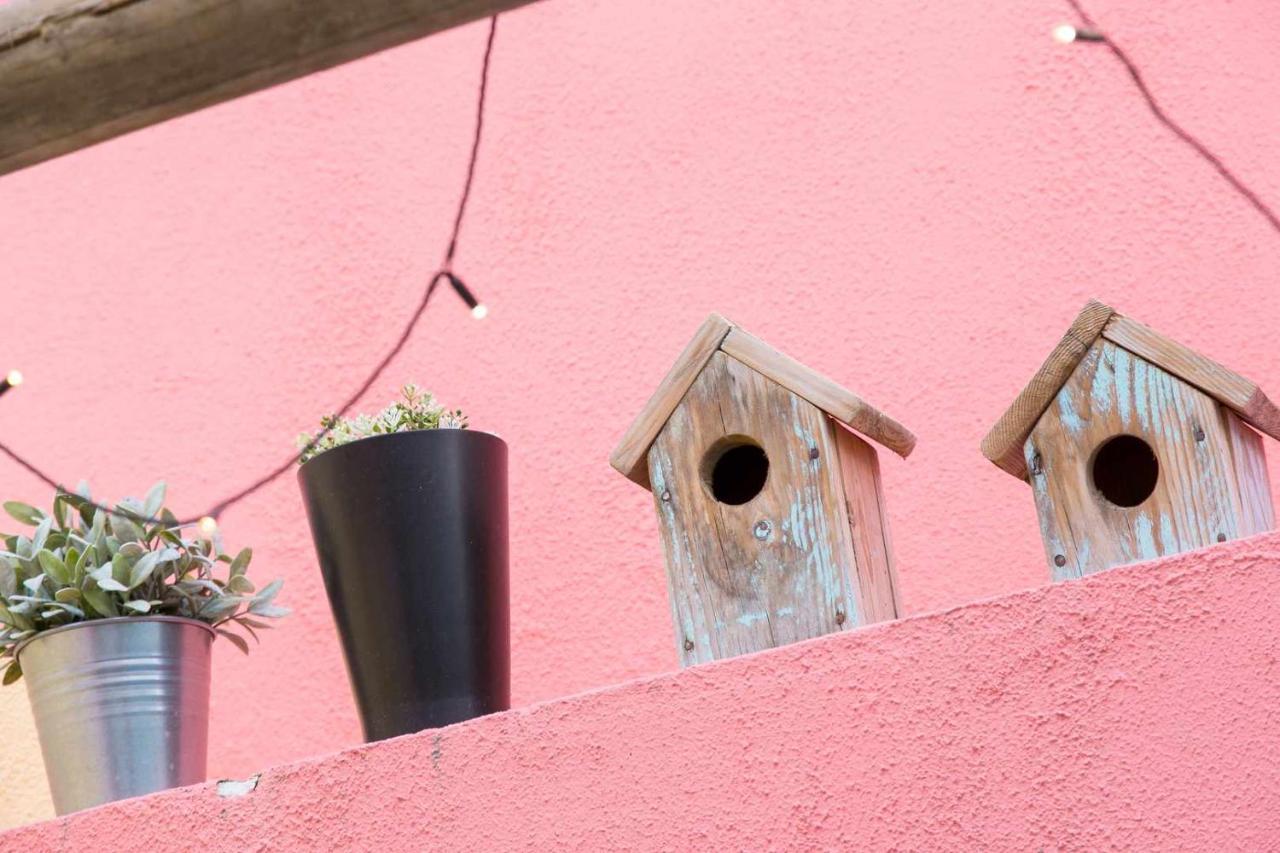 Charming With Terrace St Amaro Apartment