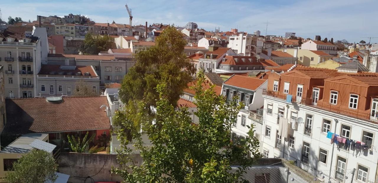 Hidden Gem 1 In Center Appartement