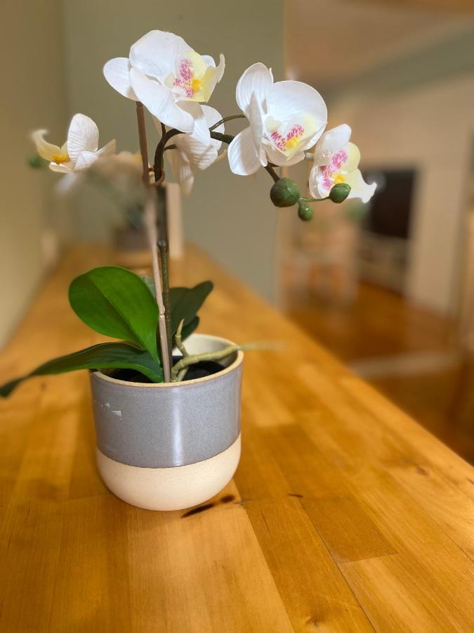 Appartement Bairro Alto 1