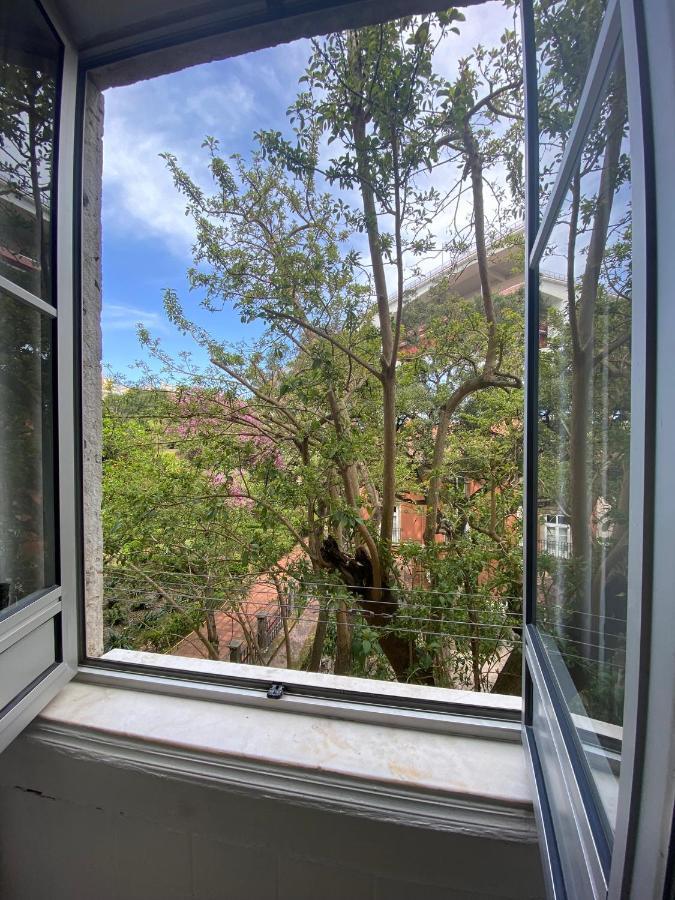 Casa Do Mocho Ii Apartment Lissabon