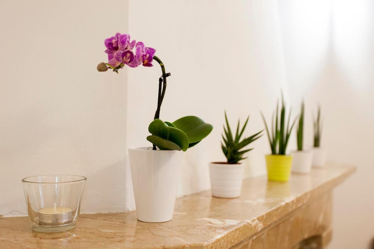 Gasthof Ginjinha House - 4 - Bairro Alto - With Ac!