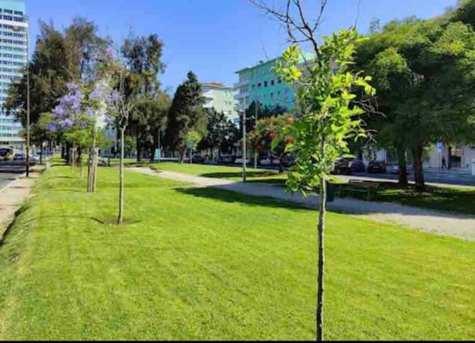 Ola ! Central Lightning Quiet View Garden 10mn Airport Apartment