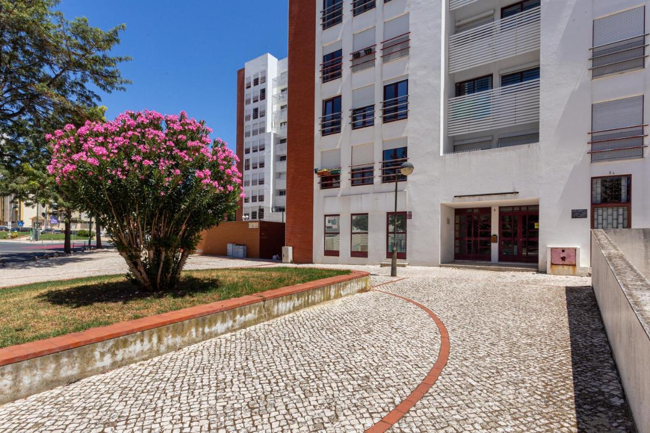 Joivy Sunny In Marvila * Lisboa