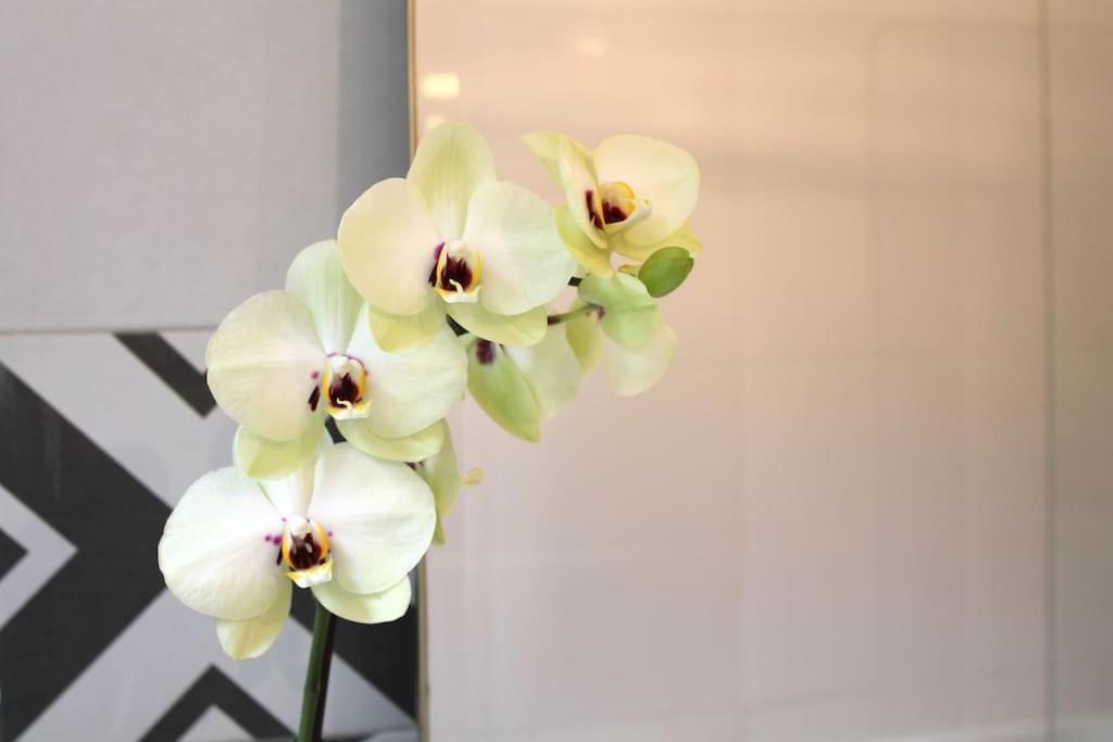 Apartment Sant'anna Lissabon