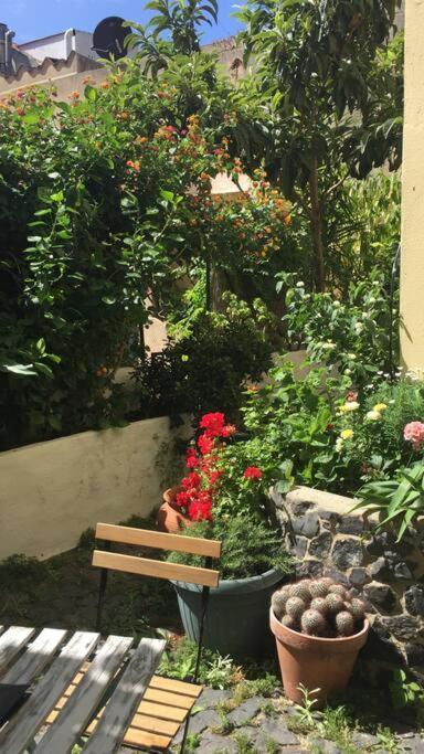Downtown Garden House Apartamento