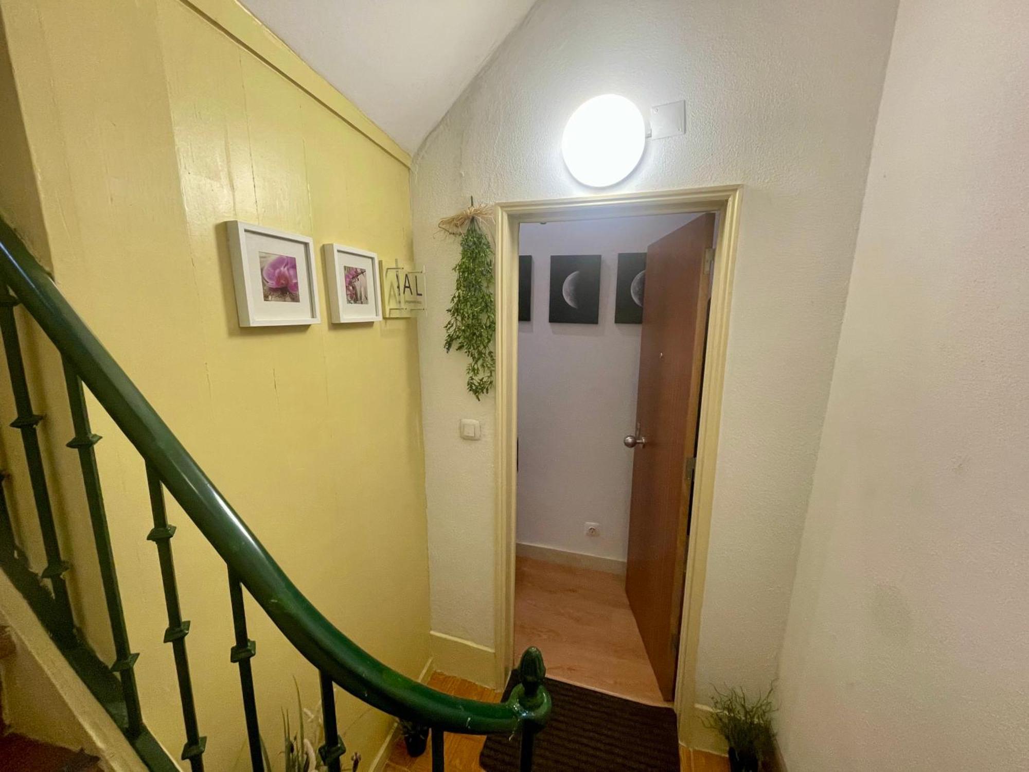 Sunny Orange Garden In Appartement