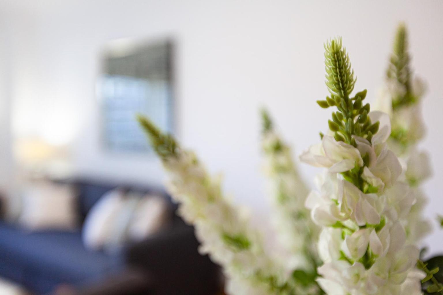 Sete Rios Appartement