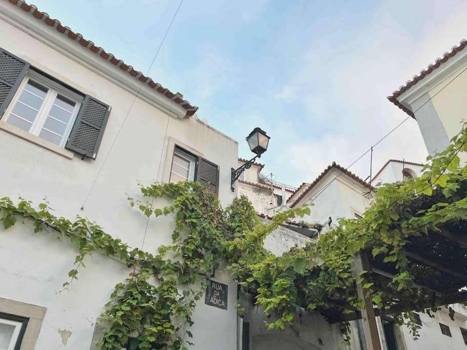 Appartement Alfama 52 Unique Apt With Pituresque Balcony