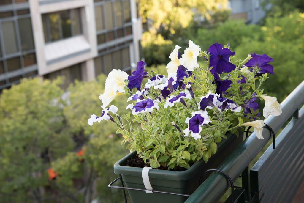 Flower Court - (adults Only) 2* Lissabon