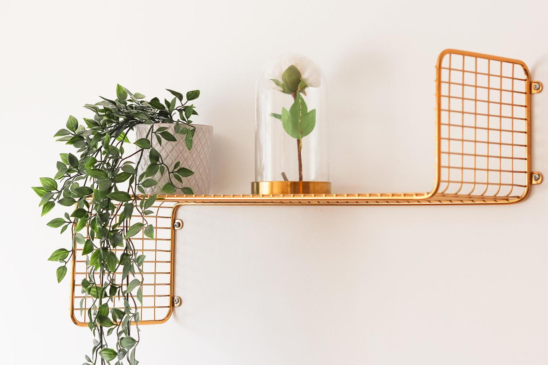 Laranjeiras Design By Homing Apartamento Lisboa