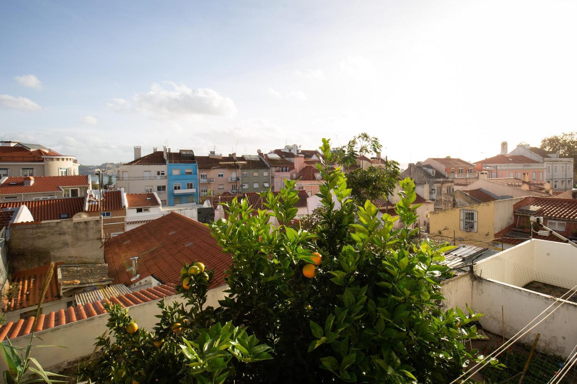 Bmyguest - Boa Hora Lisboa