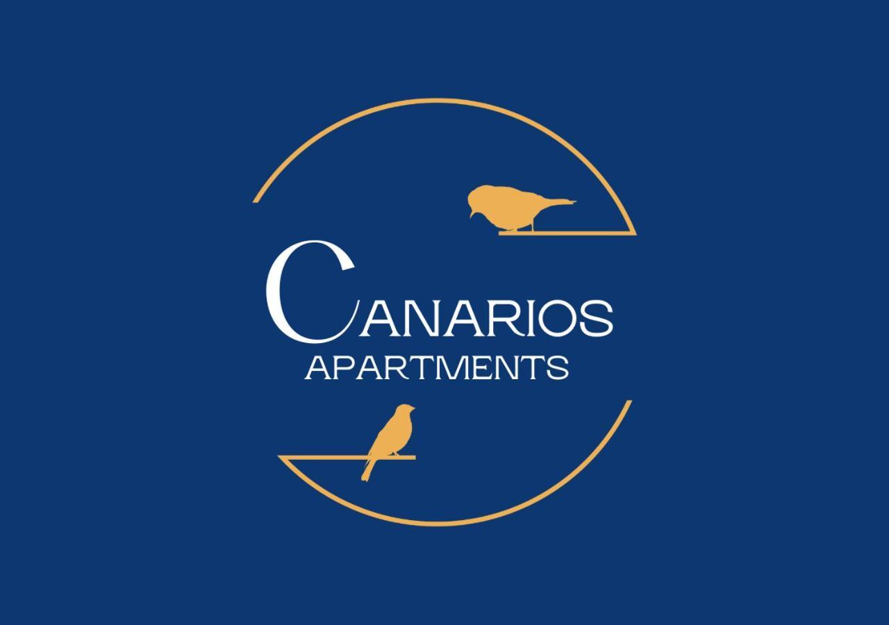 Canarios Catarina Lissabon