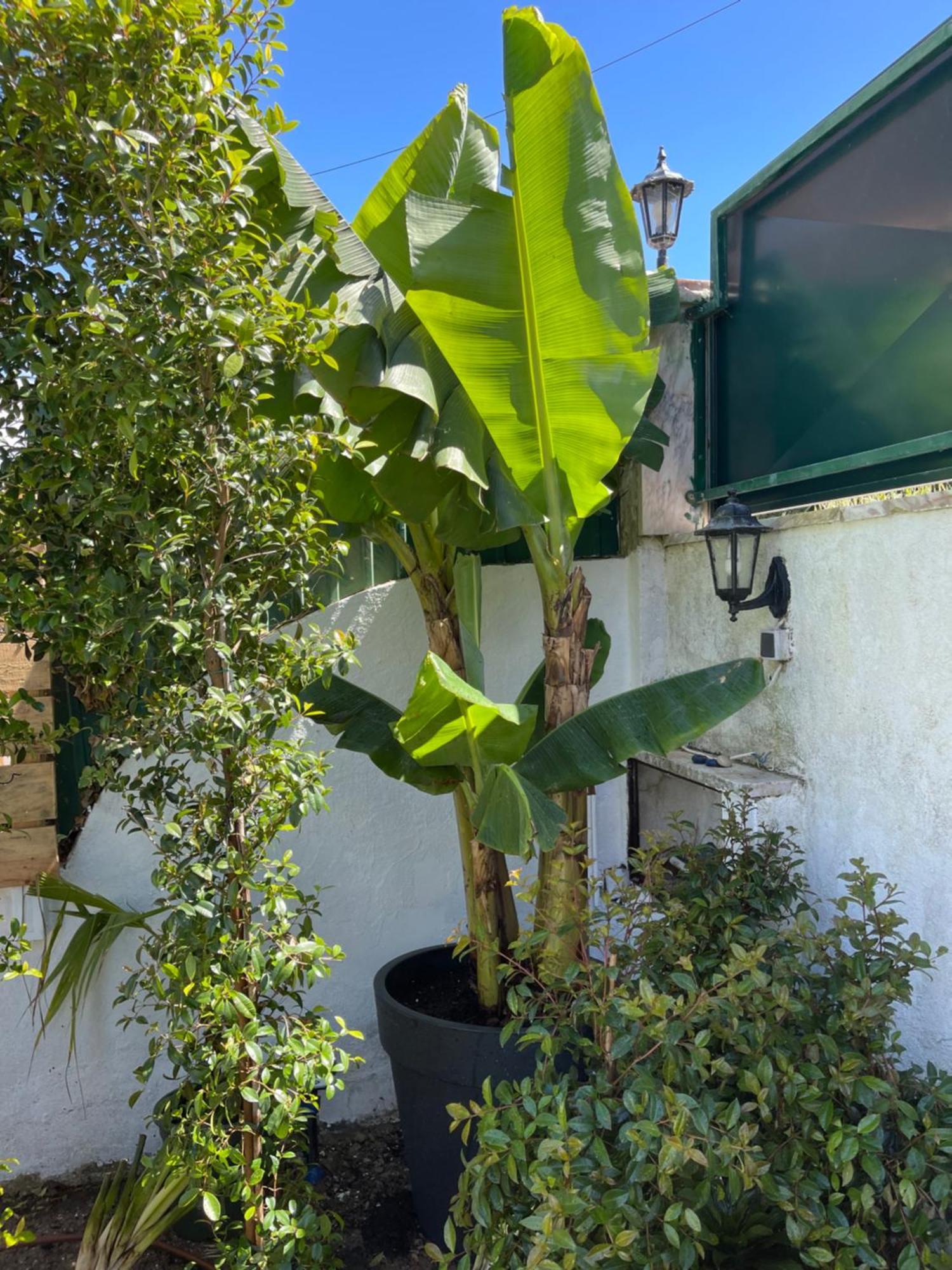 Villa Retreat Villa, Full Amenities, Up To 40ppl Lissabon