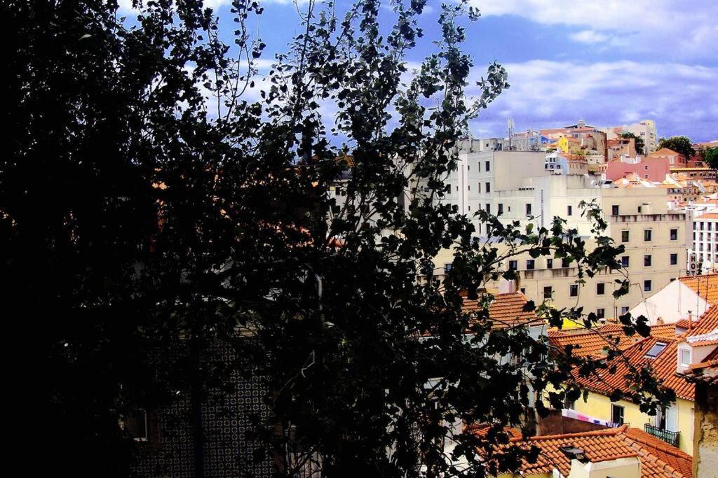 Appartement Casa Dos Trigueiros I Lissabon