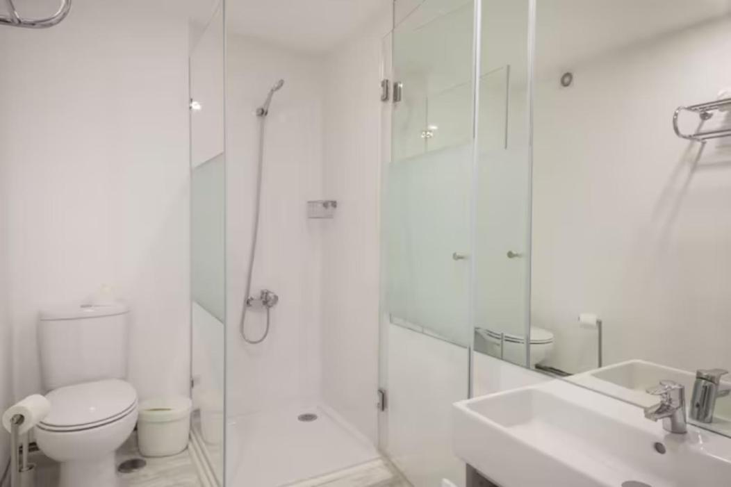 Duplex With Terrace In Principe Real Appartement *