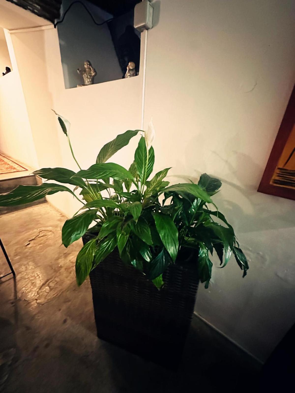 Nuriahboutique Séjour chez l'habitant *