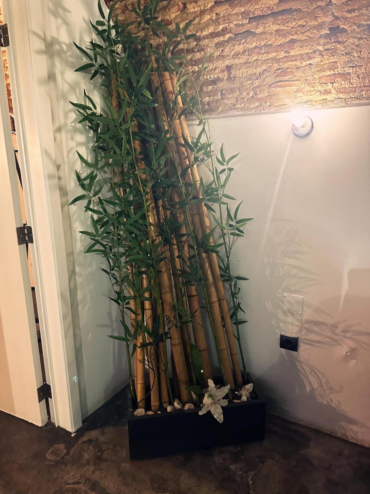 Séjour chez l'habitant Nuriahboutique
