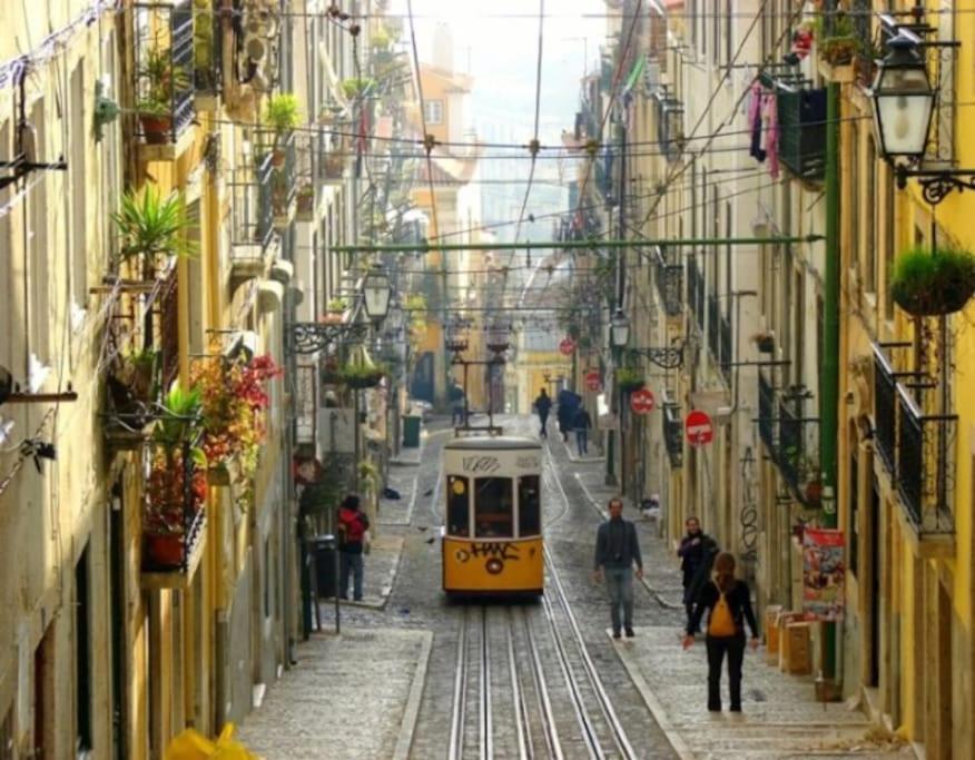 Appartement Amalia Lisboa