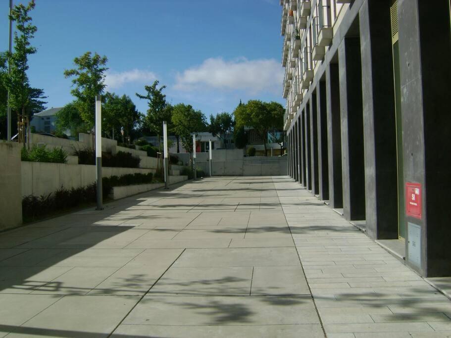Appartement Modern And Spacious In *