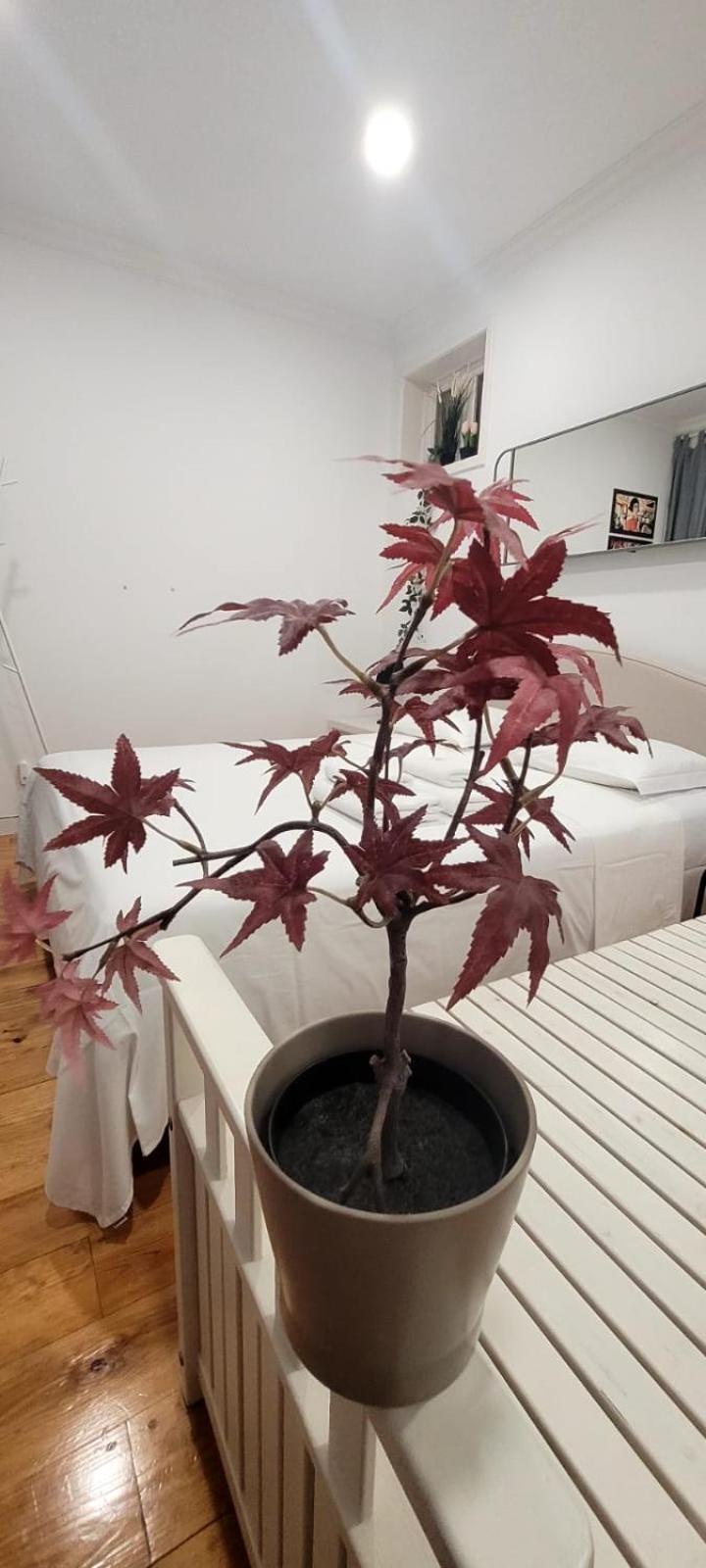 Séjour chez l'habitant Varanda Privada Iroom *
