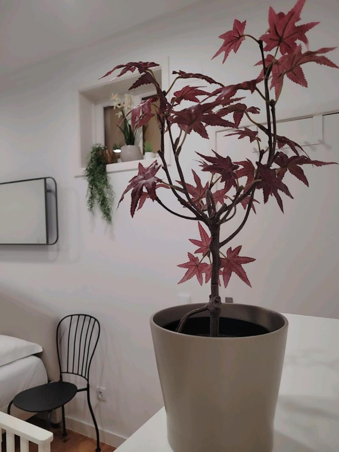 Séjour chez l'habitant Varanda Privada Iroom Lisboa