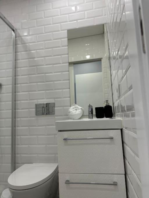 Duplex Com Jacuzzi Em Olival Basto * Lisboa