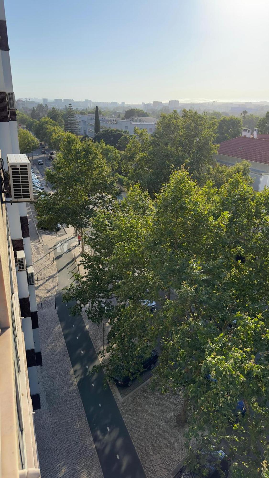 Alvalade Lissabon