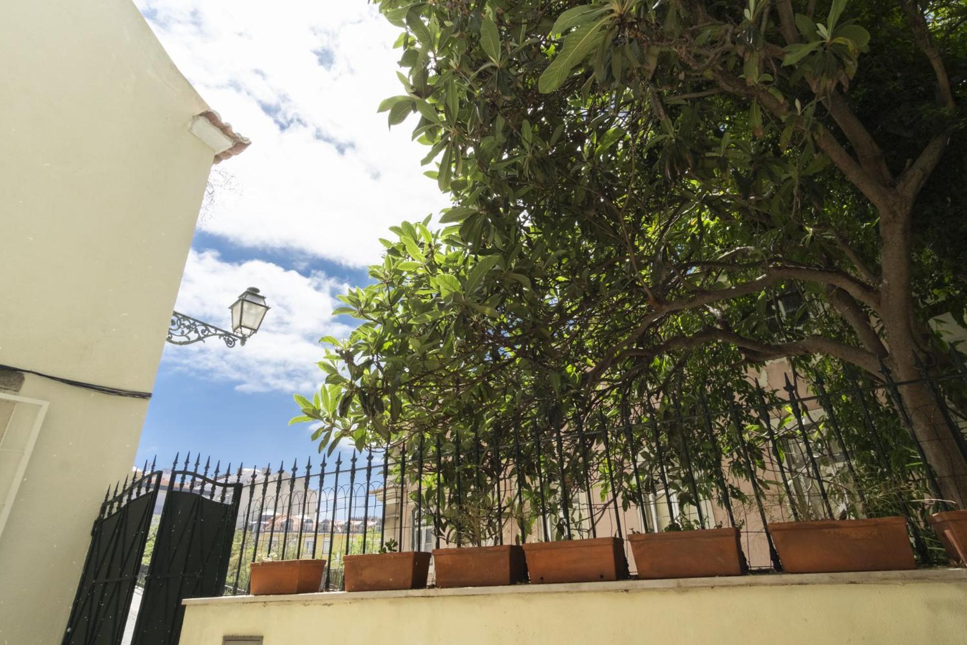 Appartement With Terrace In Downtown - Ttl279 *