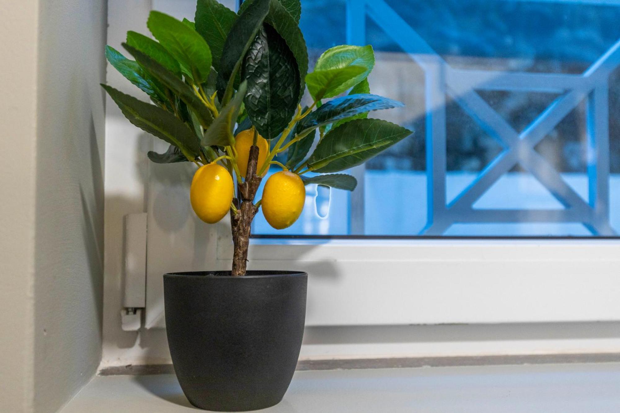 Silva Apartment Lissabon