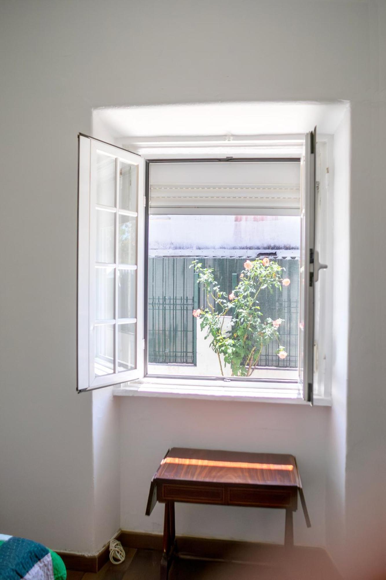 Front House Appartement *