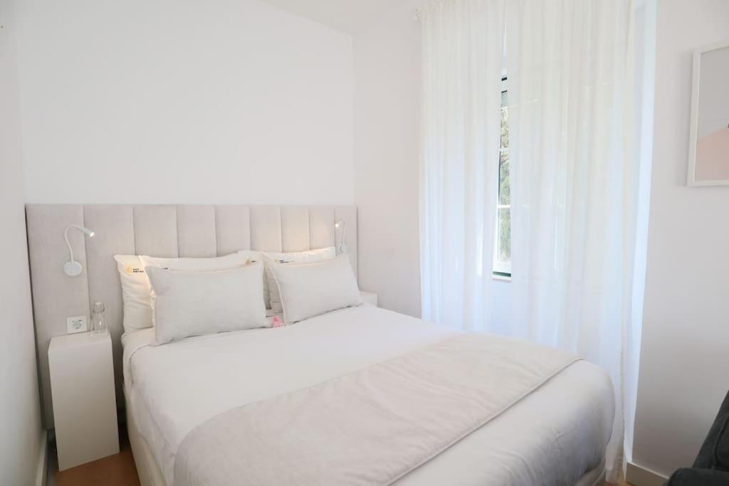 Center Lovely Appartement