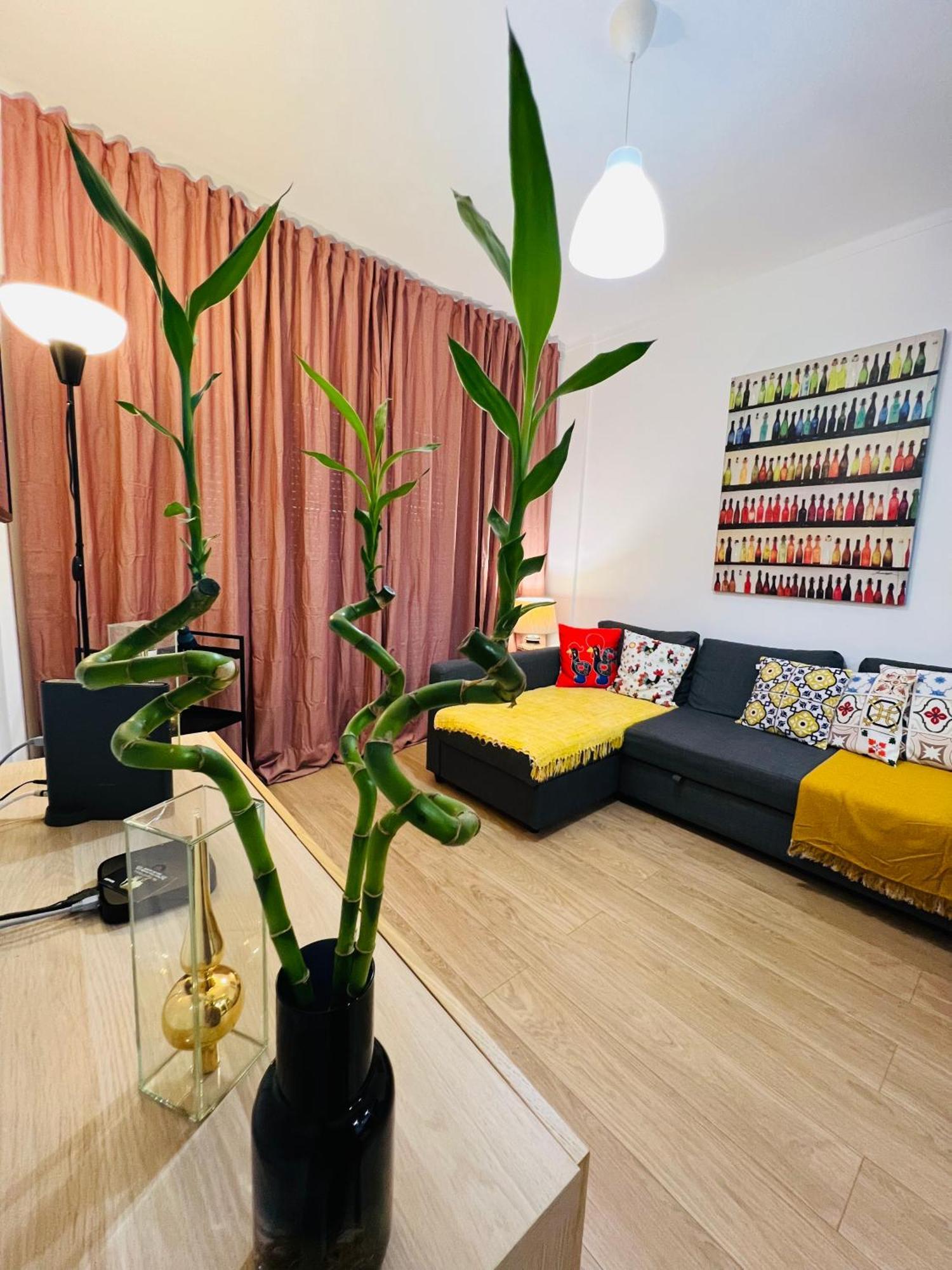 Apartment Vip Vasco Da Gama -ap Completo Com Terraco 60m2