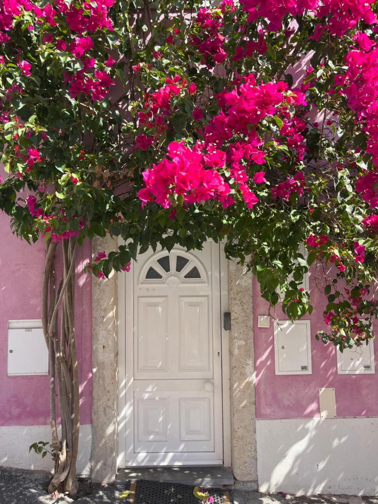 Casa Cor De Rosa Apartamento *