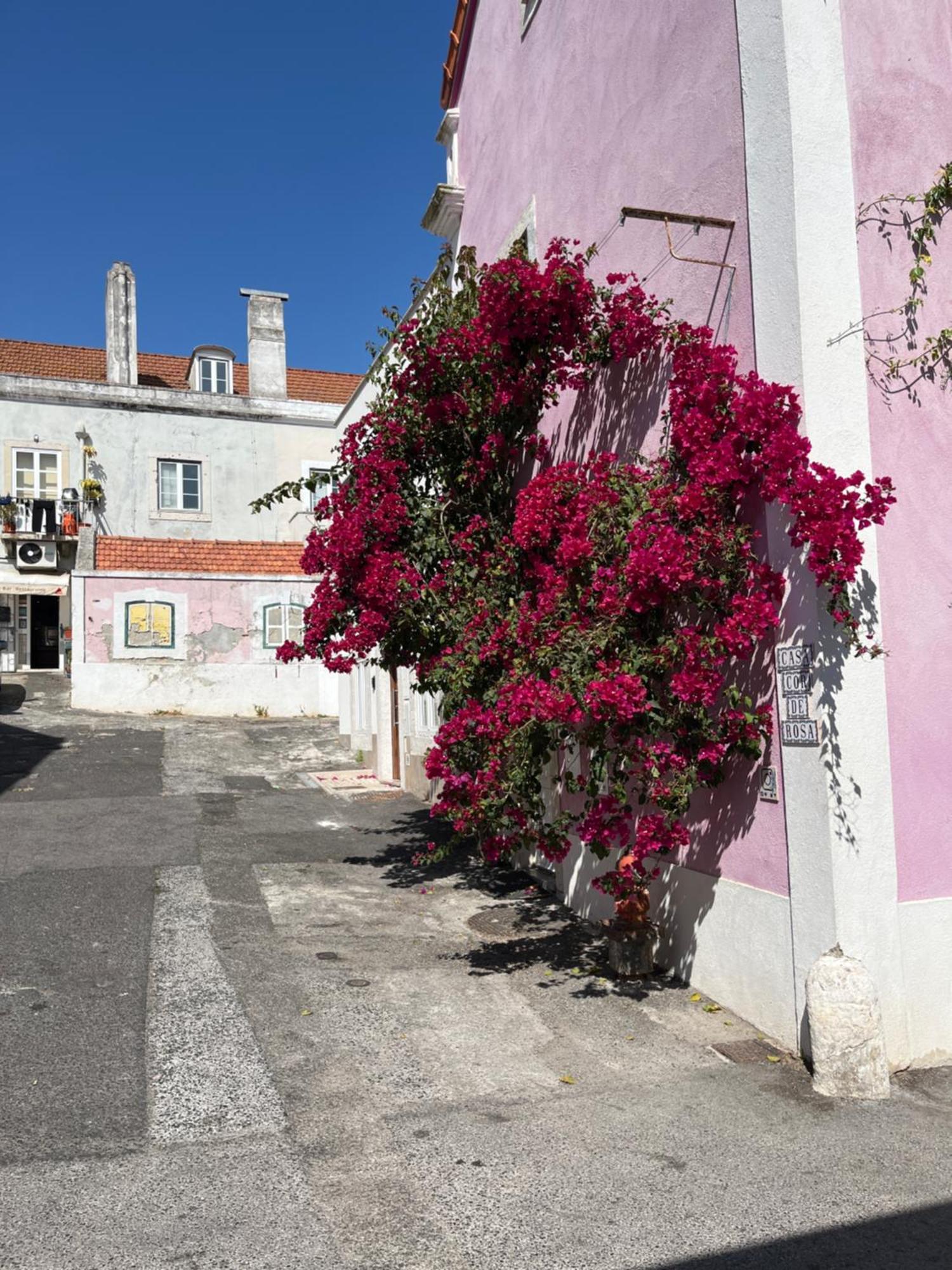 Apartamento Casa Cor De Rosa *
